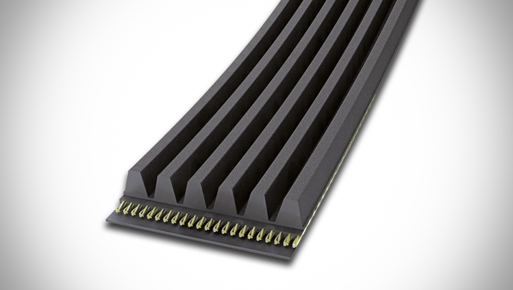 Keilriemen Keilrippenriemen Rippenriemen CONTITECH AVX10X990 Keilriemen Keilrippenriemen Rippenriemen CONTITECH AVX10X990